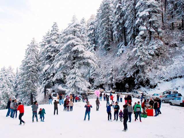 Romantic Shimla Manali